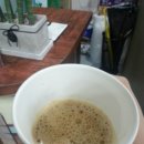 도연이네막창순대 이미지