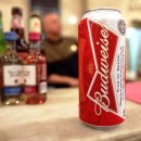 BUD 이미지