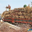 이원목장 이미지