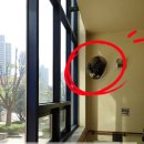 새말초등학교 | 반사경 실내 실외설치 주차장 도로 볼록거울 시공업체