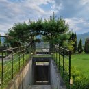 디나우스 이미지