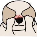 리버풀동물병원 이미지