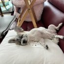 오상농장 이미지