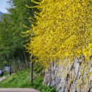 원천마을 이미지