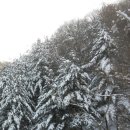 경남아너스빌 삼거리(영천동 경남아너스빌부근) | 광교산가기전 산책길(300봉,옹달산) 그리고 눈(雪), 김삿갓 雪詩 1,2