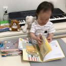 국어영재교육기파랑문해원과천중앙학원 | 기파랑문해원 등급 가격 초3 화랑 레벨 입학테스트 후기