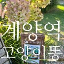 다남로 | [계양역카페] 고양이똥4, 인천카페 계양 대형카페 계양역 아아맛집 아인슈페너 내돈내산