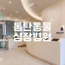 C.T.종합동물병원 | 11살 강아지 심장병 c단계 진단, 동탄동물심장병원 첫 방문 상세 후기
