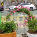 해피농장 이미지