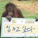노래클럽 앞 이미지