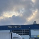 한밭도매마트 | 오정동 한밭수산, 겨울 방어회, 대전 수산시장 회포장 후기
