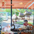 디코이덕 이미지