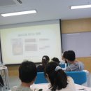 청개구리어린이도서관 | 아이들이 ‘매우 만족’을 선택한 원예 수업 수영구 어린이 도서관 청개구리 테라리움 초등 출강 후기