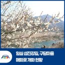 구담경로당 네이버블로그