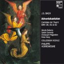 [J.S.Bach] 칸타타 BWV 36, 기뻐하며 춤추어라 (크리스마스 칸타타) - 콜레기움 보칼레 겐트 (에르베그, 지휘) 이미지