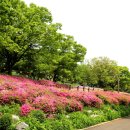 보라매공원 이미지