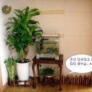 다리품 이미지