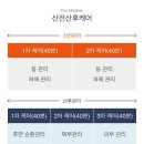 이든포레 이미지