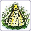 이*수_3 Daum카페