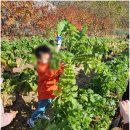 포항삼성어린이집 이미지