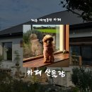 들랑 | [제주/카페] 카페산들랑 • 제주애견동반카페 • 제주구옥카페