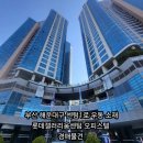 센텀1로 이미지