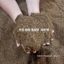 천안 해독 찜질방 테르엔 목욕탕 찾다 득템후기
