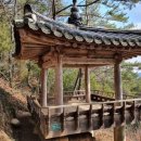 다산초가 이미지