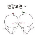 내모미 이미지