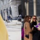 안경 봄 이미지