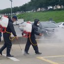 새벽시장 이미지