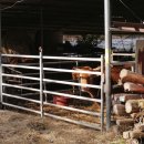 구림축사 이미지