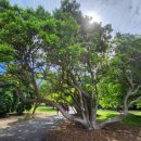 신비공원 이미지