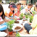 다례교실 이미지