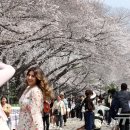 진해구 ⓒ-4 이미지