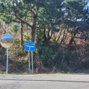 대동식당민박 이미지