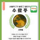 꿈대장간디지털노마드연구소 | [셉마드] 네블먹 4기 블로그 챌린지 참가 후 변화된 모습