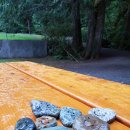 앨리스캣(Alice CAT) | [밴쿠버 캠핑] 밴쿠버 피크닉 명소! Alice Lake