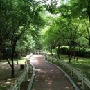 발바닥공원 이미지