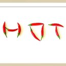 나니포차 이미지