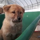 이백 하우스 이미지