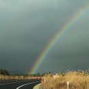 남조로수망교차로 3 이미지