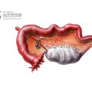 화유한의원 이미지