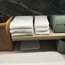 하센호텔 | 웨스틴 서울 파르나스 호텔 투숙 후기 (1) 룸 컨디션