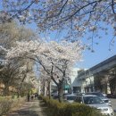 시청앞주유소 | 260405 박효신 LIVE A&amp;E 2026 콘서트 후기 (👼)