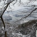 경보사슴 이미지