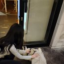 전포강아지술집 &#39;주댕이&#39; 반려동물 동반 가능 서면술집♪