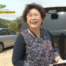 백합풀빌라
