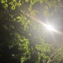 둔산로101번길 | 라오걸즈🥭와 [대전여행 1-2일차]