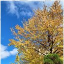 하나 행정사 사무소 이미지